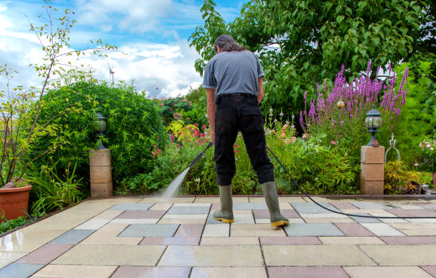 Animal Enclosure Cleaning in Silver Lake, KS